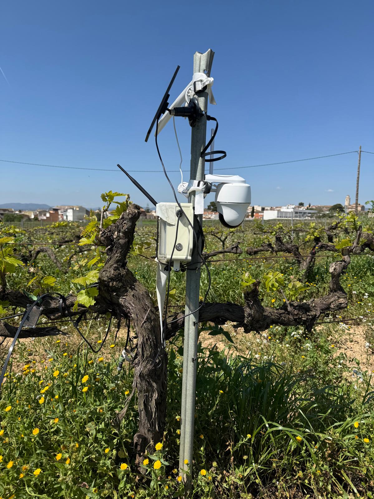 Wine quality evidence, glass, and traceability data