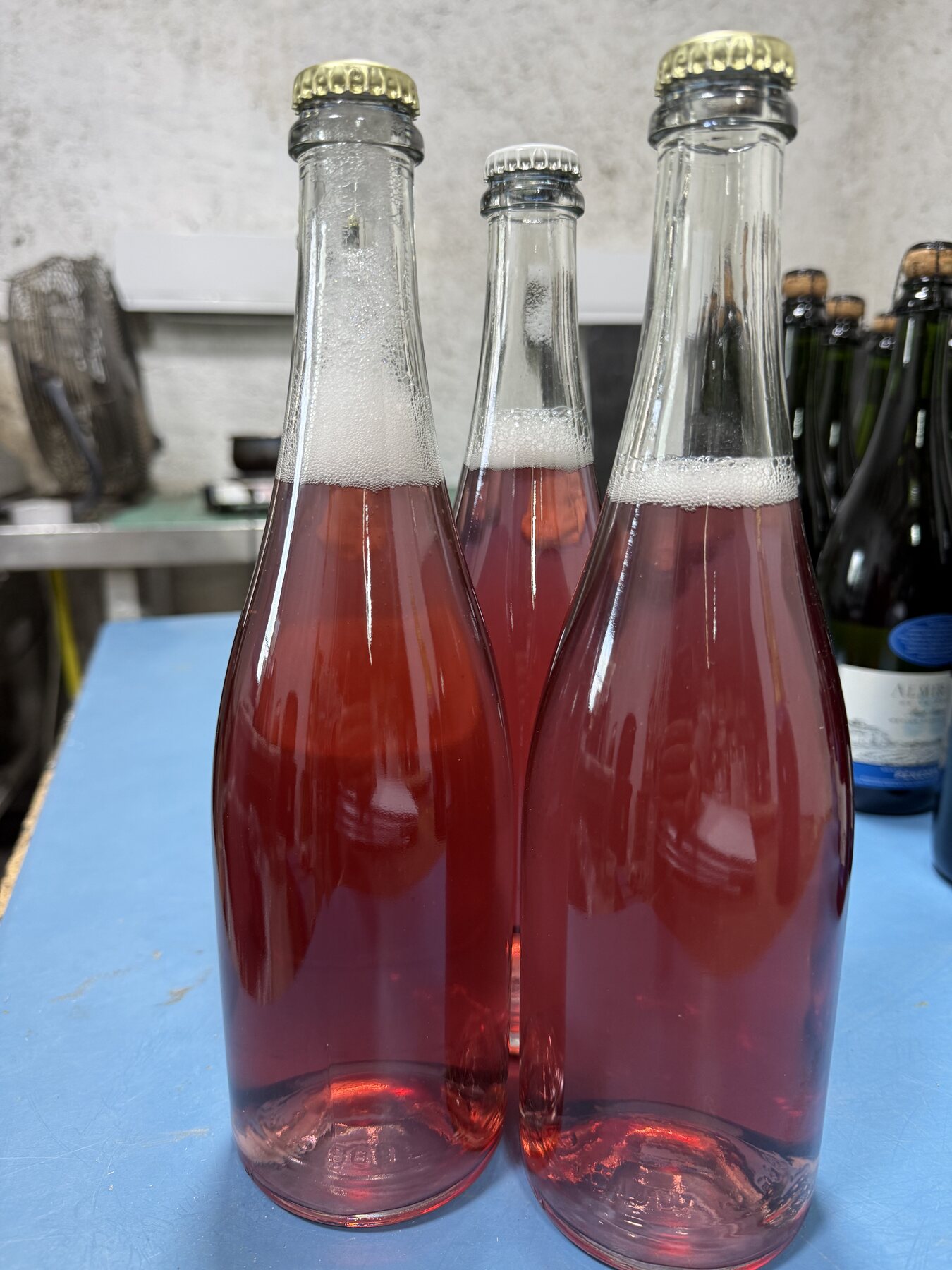 Released Vin-Q bottles
